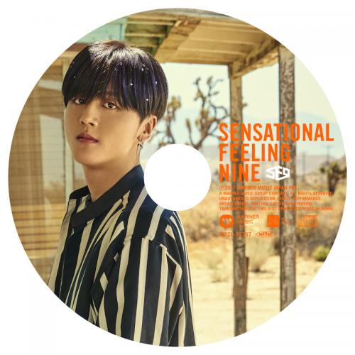 JAPAN 1st AL「Sensational Feeling Nine」ピクチャーレーベル盤（ヨンビン盤）（CD）