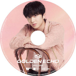 JAPAN 3rd AL「GOLDEN ECHO」【CHA NI:完全生産限定ピクチャーレーベル盤】(CD)